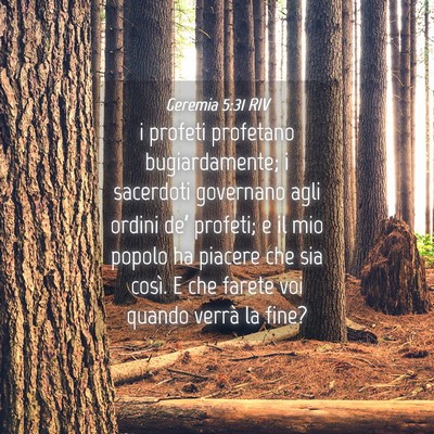 Picture 04 - Geremia 5:31 RIV - i profeti profetano bugiardamente; i sacerdoti - Bible Verse Picture