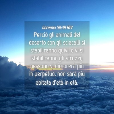 Picture 04 - Geremia 50:39 RIV - Perciò gli animali del deserto con gli sciacalli - Bible Verse Picture
