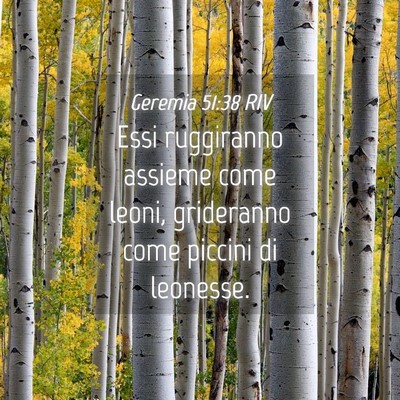Picture 04 - Geremia 51:38 RIV - Essi ruggiranno assieme come leoni, grideranno - Bible Verse Picture