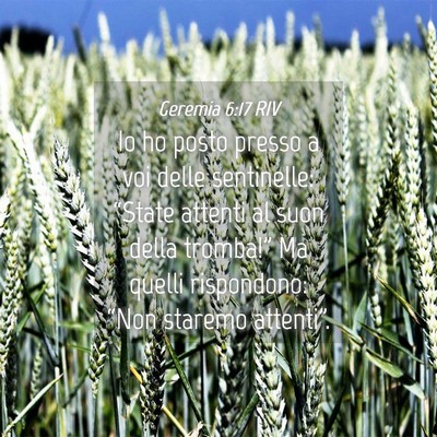 Picture 04 - Geremia 6:17 RIV - Io ho posto presso a voi delle sentinelle: - Bible Verse Picture