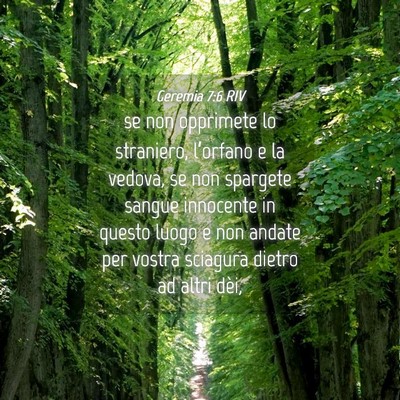 Picture 04 - Geremia 7:6 RIV - se non opprimete lo straniero, l’orfano e la - Bible Verse Picture