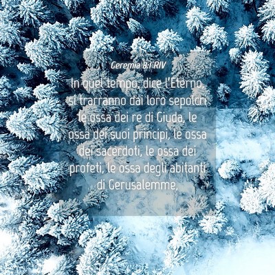 Picture 04 - Geremia 8:1 RIV - In quel tempo, dice l’Eterno, si trarranno dai - Bible Verse Picture