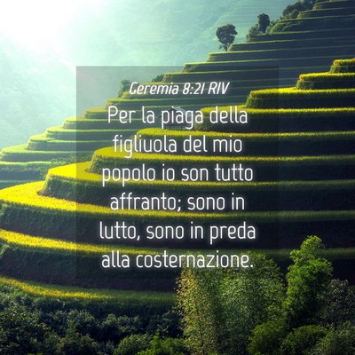 Picture 04 - Geremia 8:21 RIV - Per la piaga della figliuola del mio popolo io - Bible Verse Picture