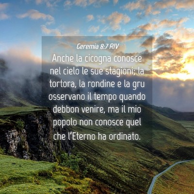 Picture 04 - Geremia 8:7 RIV - Anche la cicogna conosce nel cielo le sue - Bible Verse Picture