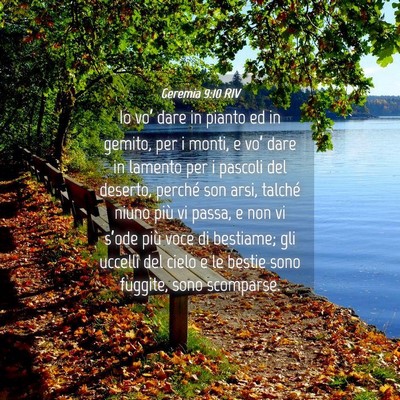 Picture 04 - Geremia 9:10 RIV - Io vo’ dare in pianto ed in gemito, per i - Bible Verse Picture