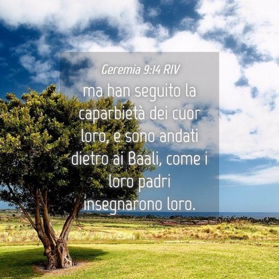 Picture 04 - Geremia 9:14 RIV - ma han seguito la caparbietà dei cuor loro, e - Bible Verse Picture