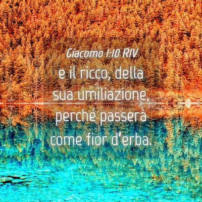 Picture 04 - Giacomo 1:10 RIV - e il ricco, della sua umiliazione, perché - Bible Verse Picture