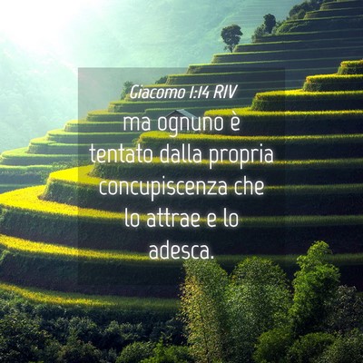Picture 04 - Giacomo 1:14 RIV - ma ognuno è tentato dalla propria concupiscenza - Bible Verse Picture