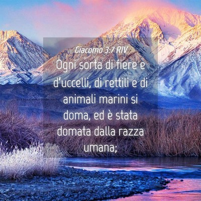Picture 04 - Giacomo 3:7 RIV - Ogni sorta di fiere e d’uccelli, di rettili e - Bible Verse Picture