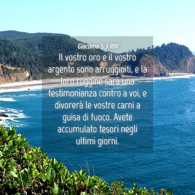 Picture 04 - Giacomo 5:3 RIV - Il vostro oro e il vostro argento sono - Bible Verse Picture