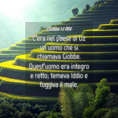 Picture 04 - Giobbe 1:1 RIV - C’era nel paese di Uz un uomo che si chiamava - Bible Verse Picture