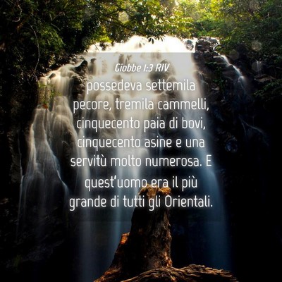 Picture 04 - Giobbe 1:3 RIV - possedeva settemila pecore, tremila cammelli, - Bible Verse Picture