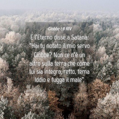 Picture 04 - Giobbe 1:8 RIV - E l’Eterno disse a Satana: “Hai tu notato il - Bible Verse Picture