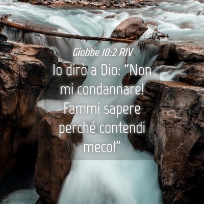 Picture 04 - Giobbe 10:2 RIV - Io dirò a Dio: “Non mi condannare! Fammi - Bible Verse Picture