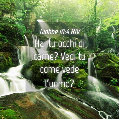 Picture 04 - Giobbe 10:4 RIV - Hai tu occhi di carne? Vedi tu come vede - Bible Verse Picture