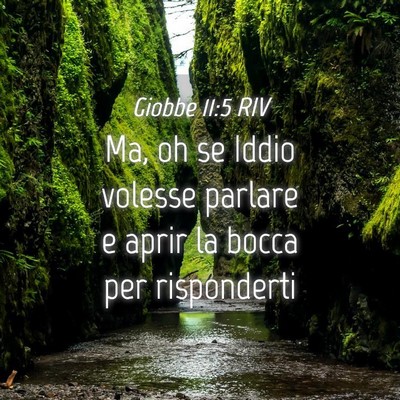 Picture 04 - Giobbe 11:5 RIV - Ma, oh se Iddio volesse parlare e aprir la bocca - Bible Verse Picture