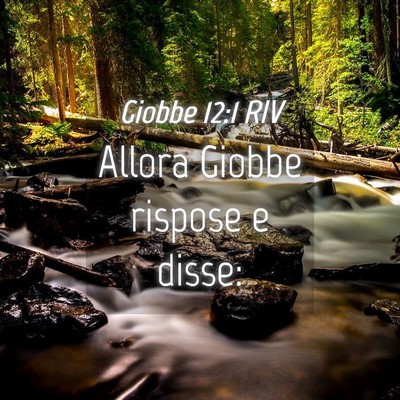 Picture 04 - Giobbe 12:1 RIV - Allora Giobbe rispose e - Bible Verse Picture
