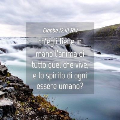 Picture 04 - Giobbe 12:10 RIV - ch’egli tiene in mano l’anima di tutto quel - Bible Verse Picture