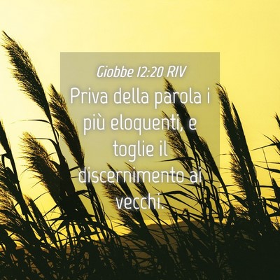 Picture 04 - Giobbe 12:20 RIV - Priva della parola i più eloquenti, e toglie il - Bible Verse Picture