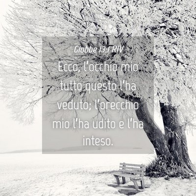 Picture 04 - Giobbe 13:1 RIV - Ecco, l’occhio mio tutto questo l’ha veduto; - Bible Verse Picture