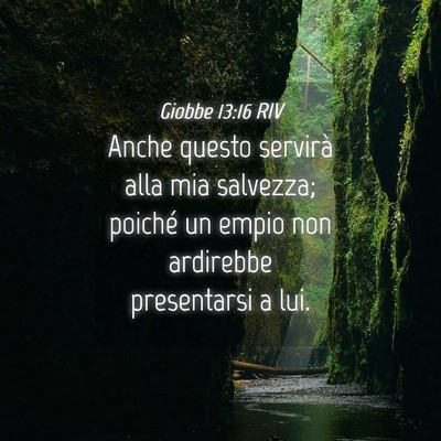 Picture 04 - Giobbe 13:16 RIV - Anche questo servirà alla mia salvezza; poiché - Bible Verse Picture