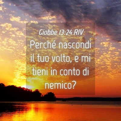 Picture 04 - Giobbe 13:24 RIV - Perché nascondi il tuo volto, e mi tieni in - Bible Verse Picture
