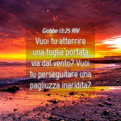 Picture 04 - Giobbe 13:25 RIV - Vuoi tu atterrire una foglia portata via dal - Bible Verse Picture