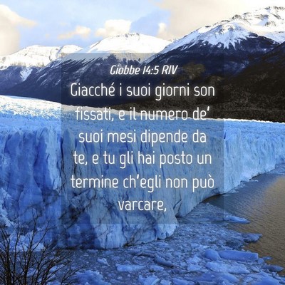 Picture 04 - Giobbe 14:5 RIV - Giacché i suoi giorni son fissati, e il numero - Bible Verse Picture