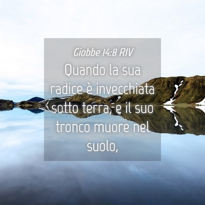 Picture 04 - Giobbe 14:8 RIV - Quando la sua radice è invecchiata sotto terra, - Bible Verse Picture