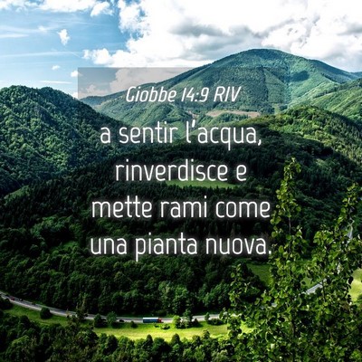 Picture 04 - Giobbe 14:9 RIV - a sentir l’acqua, rinverdisce e mette rami come - Bible Verse Picture