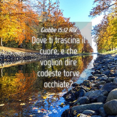 Picture 04 - Giobbe 15:12 RIV - Dove ti trascina il cuore, e che voglion dire - Bible Verse Picture