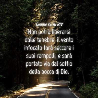 Picture 04 - Giobbe 15:30 RIV - Non potrà liberarsi dalle tenebre, il vento - Bible Verse Picture