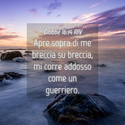 Picture 04 - Giobbe 16:14 RIV - Apre sopra di me breccia su breccia, mi corre - Bible Verse Picture