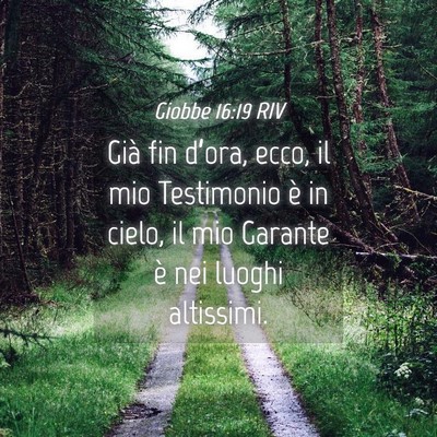 Picture 04 - Giobbe 16:19 RIV - Già fin d’ora, ecco, il mio Testimonio è in - Bible Verse Picture