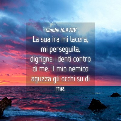 Picture 04 - Giobbe 16:9 RIV - La sua ira mi lacera, mi perseguita, digrigna i - Bible Verse Picture