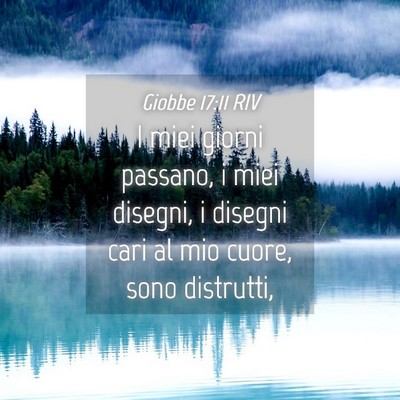 Picture 04 - Giobbe 17:11 RIV - I miei giorni passano, i miei disegni, i disegni - Bible Verse Picture