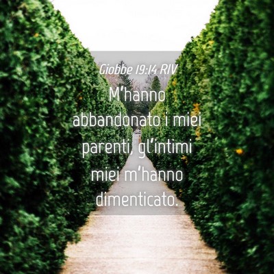Picture 04 - Giobbe 19:14 RIV - M’hanno abbandonato i miei parenti, gl’intimi - Bible Verse Picture