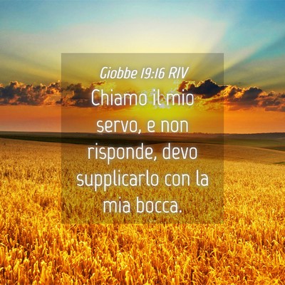 Picture 04 - Giobbe 19:16 RIV - Chiamo il mio servo, e non risponde, devo - Bible Verse Picture
