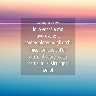 Picture 04 - Giobbe 19:27 RIV - Io lo vedrò a me favorevole; lo contempleranno - Bible Verse Picture