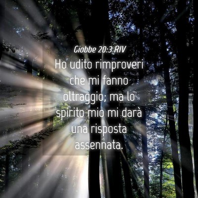Picture 04 - Giobbe 20:3 RIV - Ho udito rimproveri che mi fanno oltraggio; ma lo - Bible Verse Picture