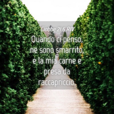 Picture 04 - Giobbe 21:6 RIV - Quando ci penso, ne sono smarrito, e la mia carne - Bible Verse Picture