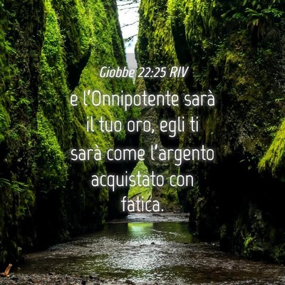 Picture 04 - Giobbe 22:25 RIV - e l’Onnipotente sarà il tuo oro, egli ti sarà - Bible Verse Picture
