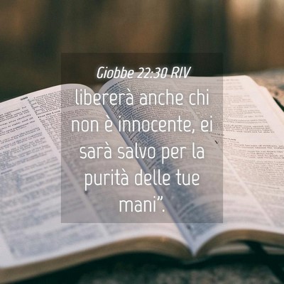 Picture 04 - Giobbe 22:30 RIV - libererà anche chi non è innocente, ei sarà - Bible Verse Picture