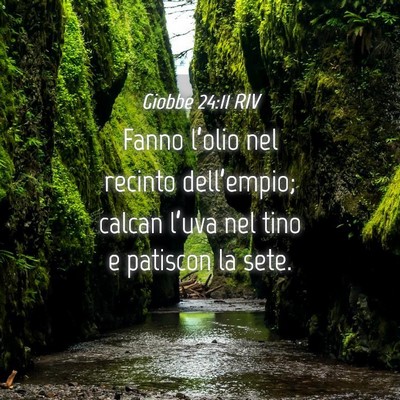 Picture 04 - Giobbe 24:11 RIV - Fanno l’olio nel recinto dell’empio; calcan - Bible Verse Picture