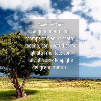 Picture 04 - Giobbe 24:24 RIV - Salgono in alto, poi scompaiono ad un tratto; - Bible Verse Picture