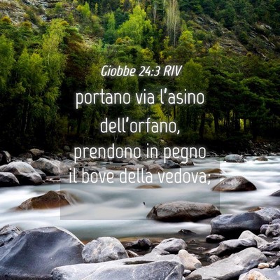 Picture 04 - Giobbe 24:3 RIV - portano via l’asino dell’orfano, prendono in - Bible Verse Picture