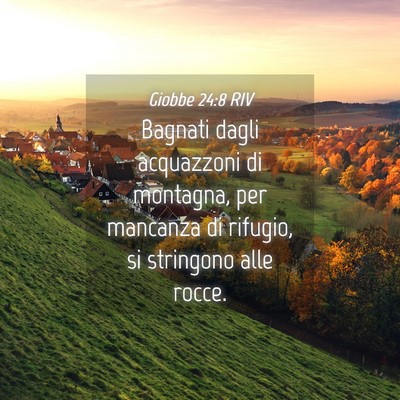 Picture 04 - Giobbe 24:8 RIV - Bagnati dagli acquazzoni di montagna, per - Bible Verse Picture