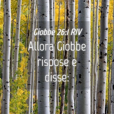 Picture 04 - Giobbe 26:1 RIV - Allora Giobbe rispose e - Bible Verse Picture