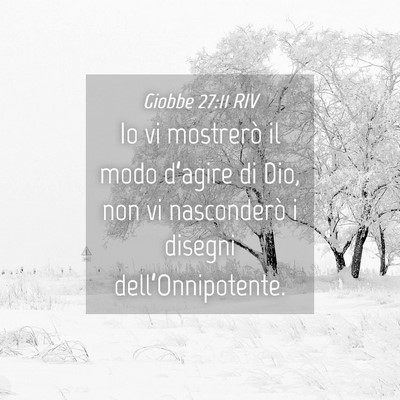 Picture 04 - Giobbe 27:11 RIV - Io vi mostrerò il modo d’agire di Dio, non vi - Bible Verse Picture