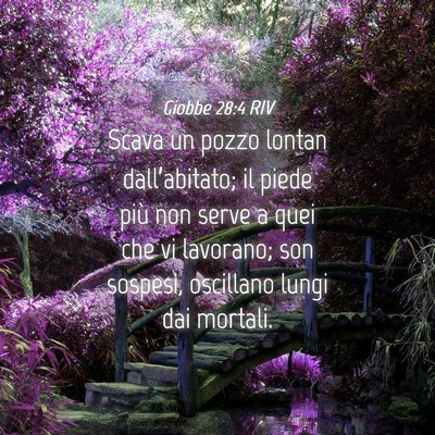 Picture 04 - Giobbe 28:4 RIV - Scava un pozzo lontan dall’abitato; il piede - Bible Verse Picture